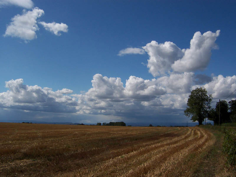 Feld und Himmel