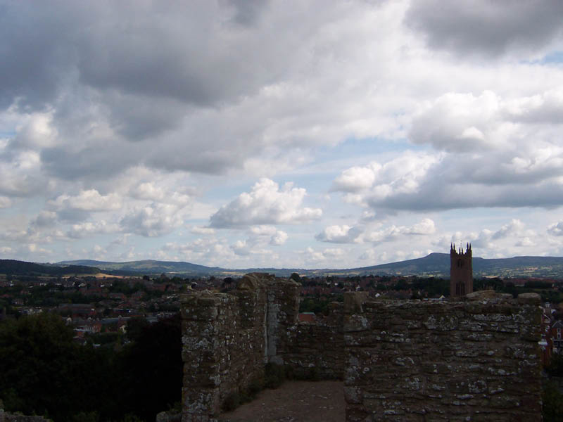 Blick von der Burgruine