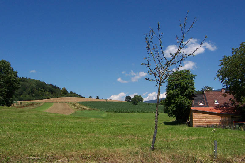 Dörfliche Landschaft