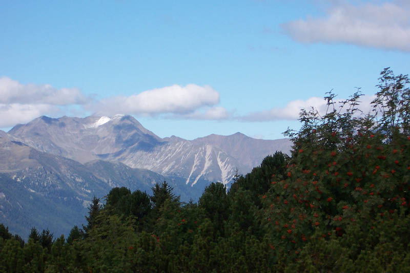 Wald und Berge